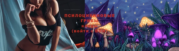 МДПВ Абинск
