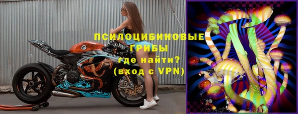 МДПВ Абинск