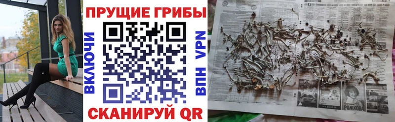 Галлюциногенные грибы MAGIC MUSHROOMS  Алейск 